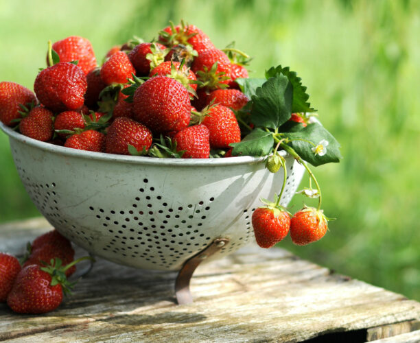 Strawberries: A dessert- lovers favorite